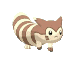 :furret_walk_right: